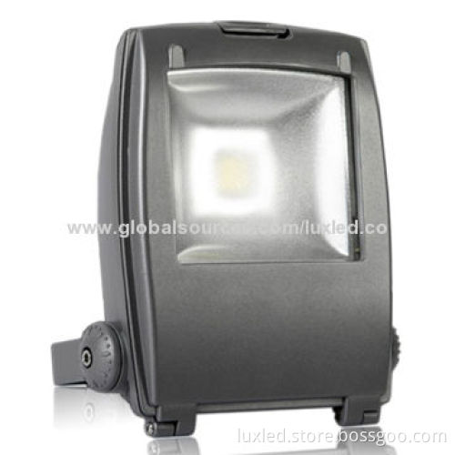 LED Floodlight, COB LED Bridgelux Chip, Meanwell Driver, Suitable for Garden or Building Wall